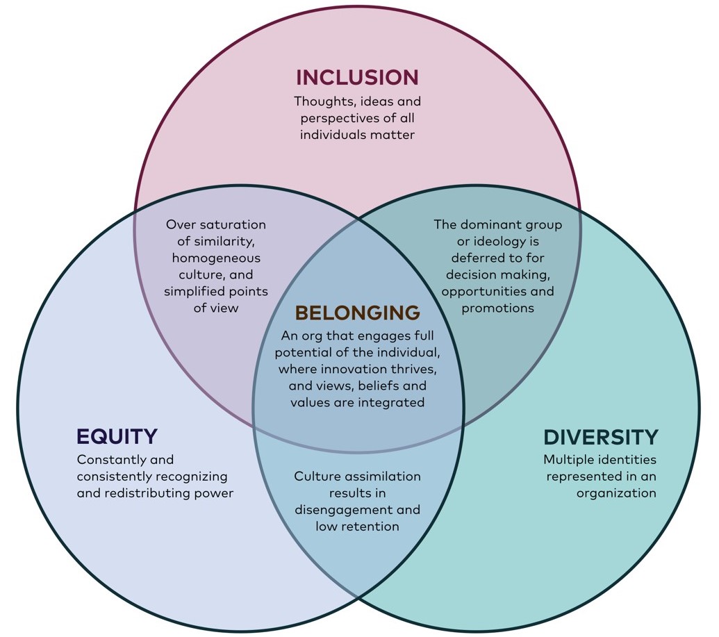 case study what does diversity mean in a global organization